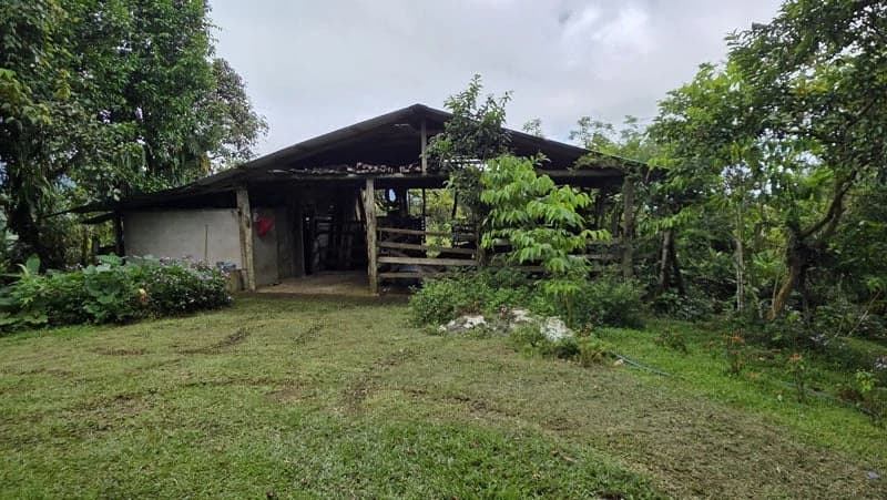 116-Hectare Finca for Sale Near Uvita with Whales Tail Views and 10 Waterfalls | La Faralla, Bahia Ballena, Uvita, Puntarenas, Costa Rica - photo 55