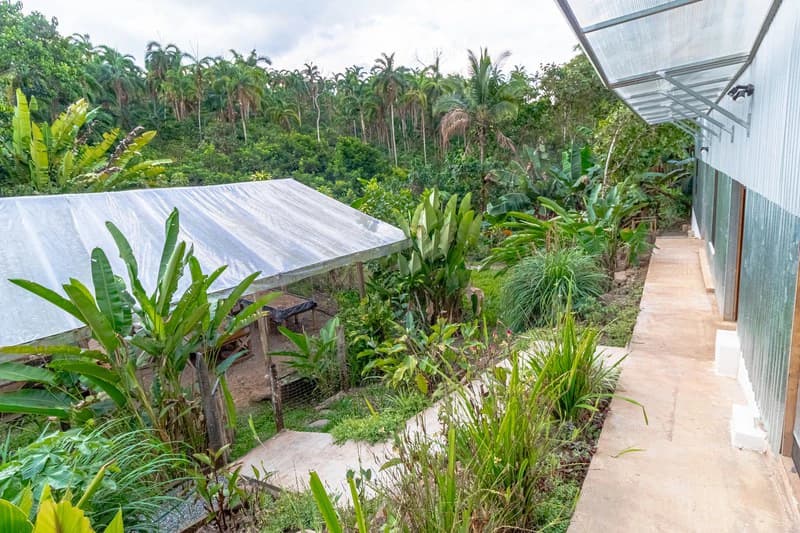 Casa San Pedrito: Beautiful house for sale in San Pedrito,(1,3hect) Perez Zeledon - photo 6