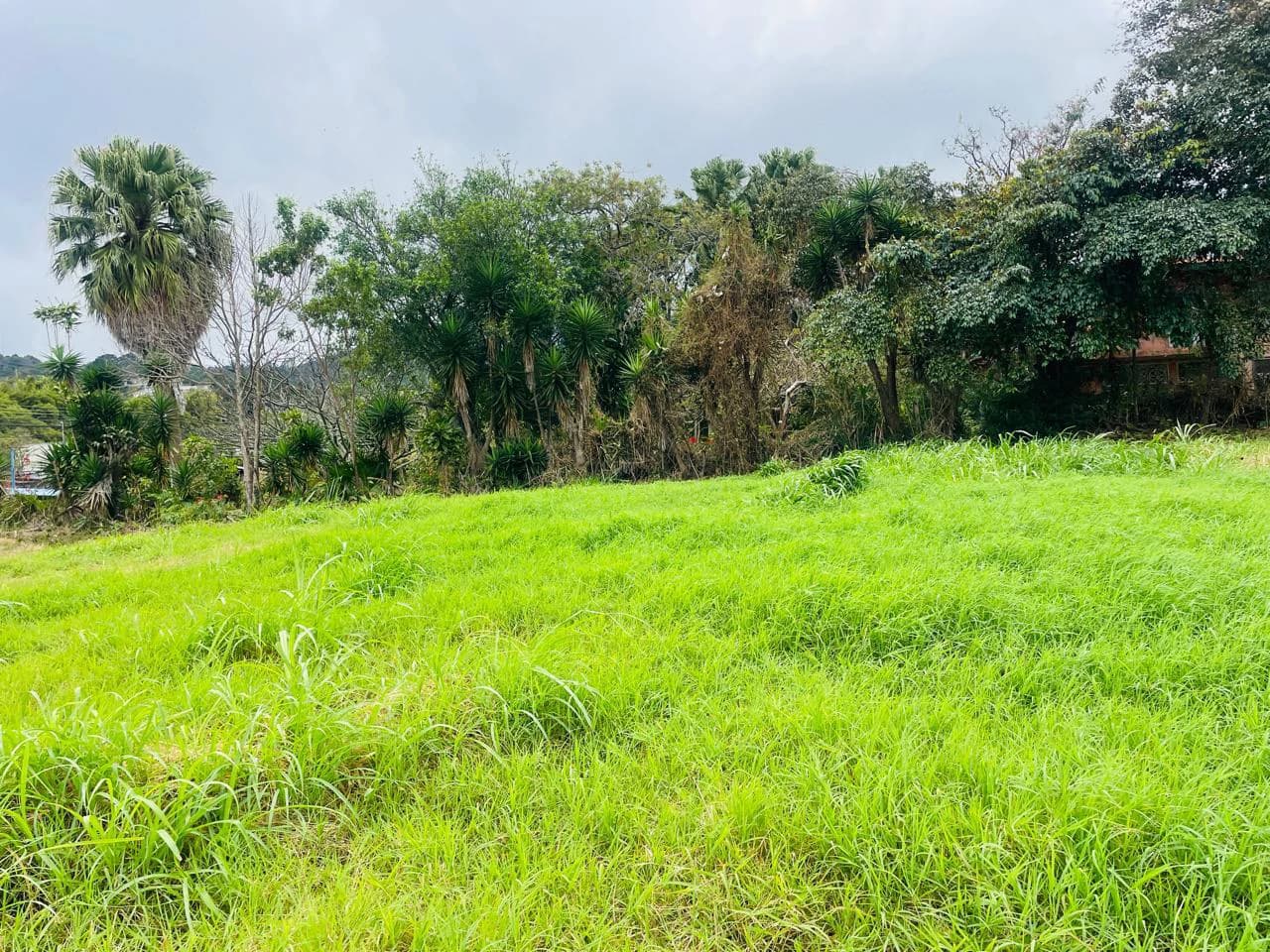 Lot for sale in Escazú for condominium development Costa Rica - photo 7