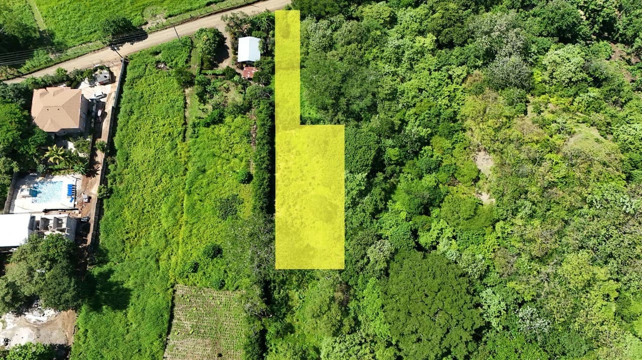 1,766 m² Lot: Between Playa Grande & Tamarindo - photo 5