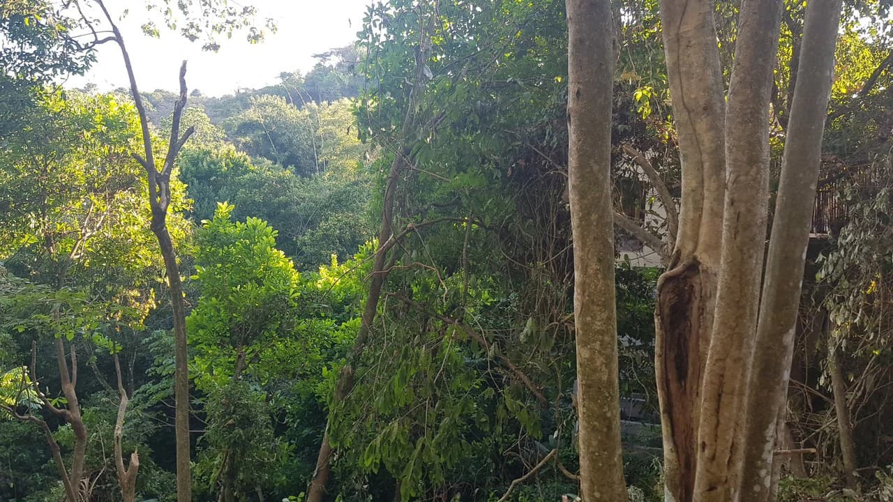 Building Lot in Manuel Antonio, Surrounded by Nature - photo 5