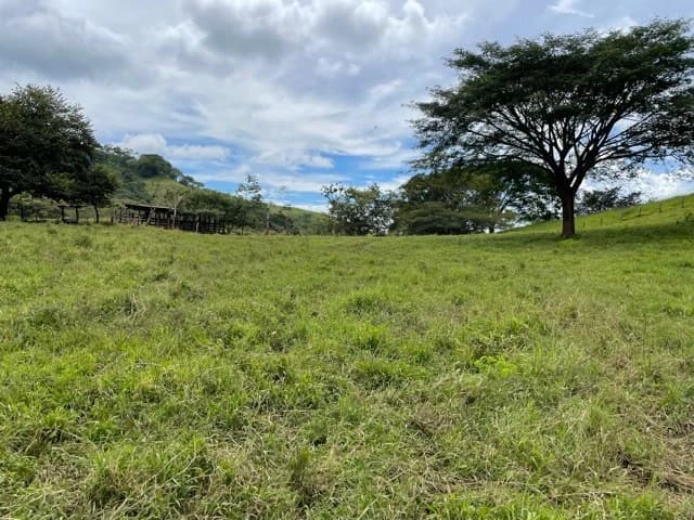 10 acre Dream Mountain Farmland near Monteverde - photo 8