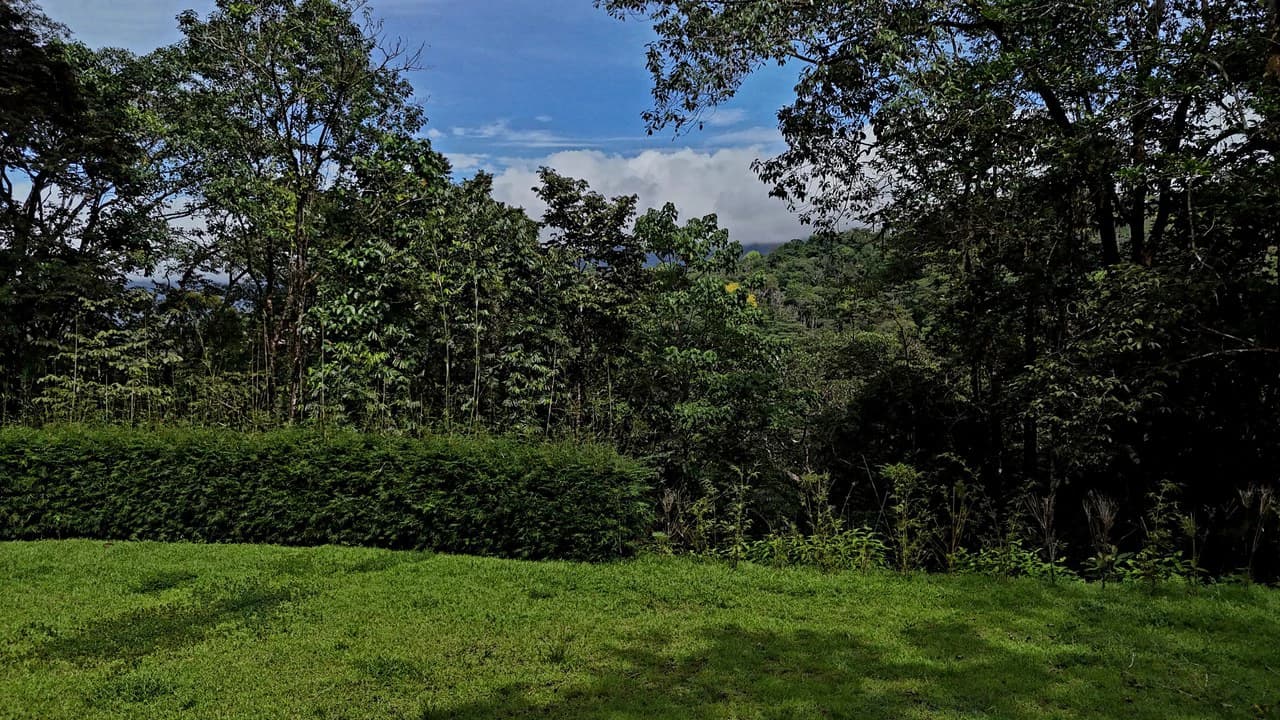 Tropical Paradise in Uvita: 939 sqm Property with Dual Building Sites, 5 Minutes from the Beach - photo 14