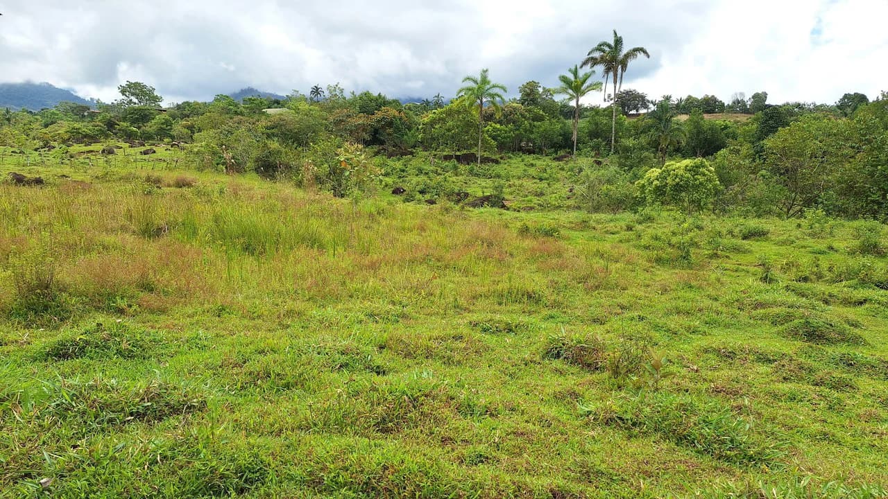 Se vende lote agrícola, en Cajón, Perez Zeledon.: Mountain Home Construction Site For Sale in Cajón - photo 13