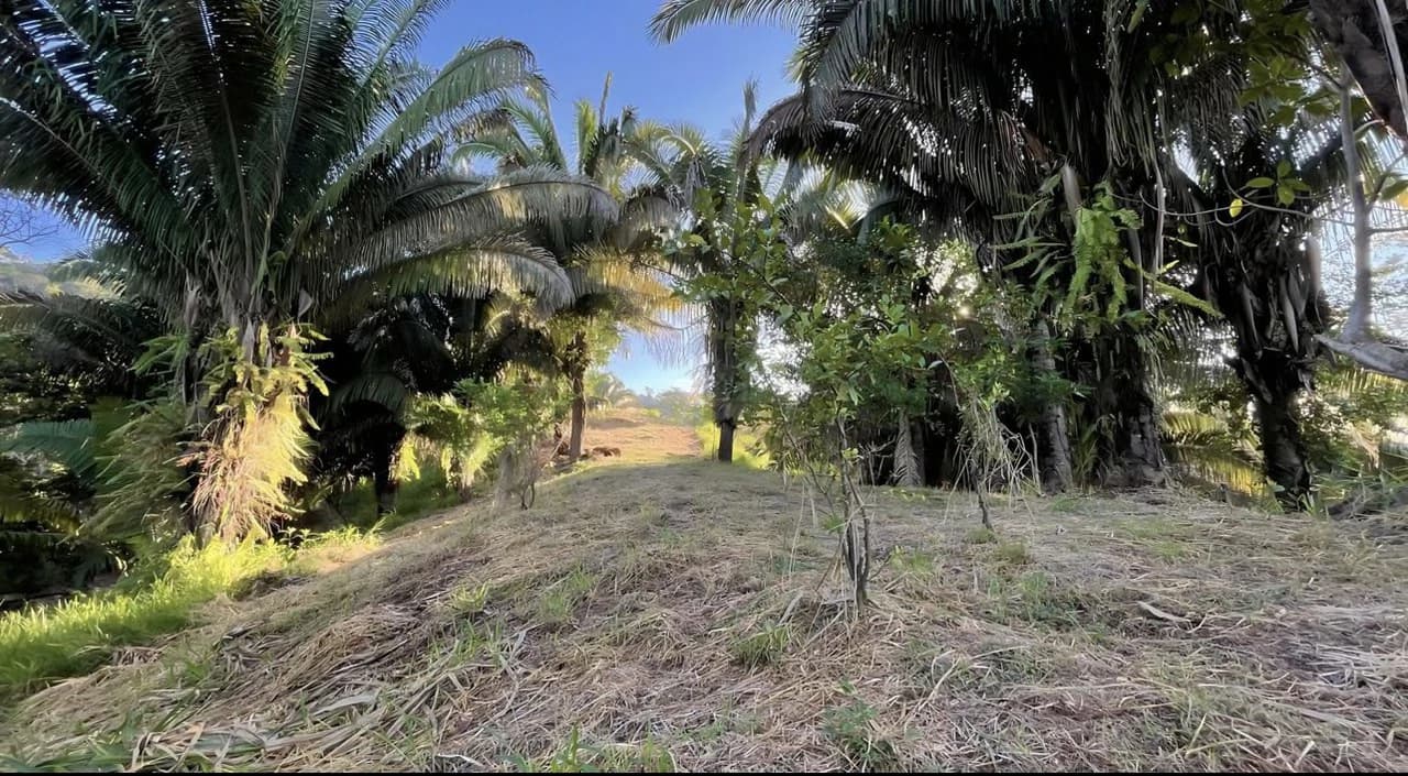Exclusive Hermosa 1.2 Acre Lot with Panoramic Mountains and Ocean View. - photo 12