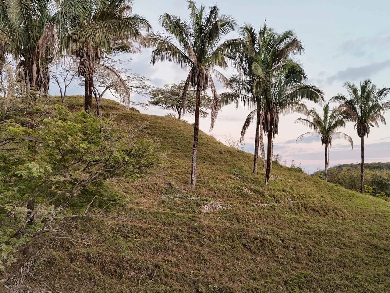 Lote Las Palmas - 1 Hectare lot a short distance to 3 beaches: Countryside Home Construction Site For Sale in Playa Samara - photo 3