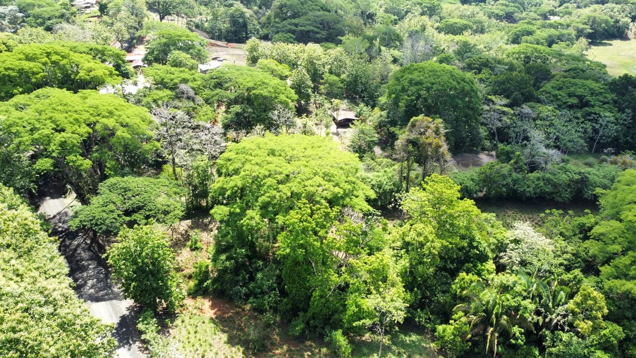 7-Hectare Farm with Teak Plantation, Existing Home & Eco-Development Potential Near Parrita, Costa Rica - photo 7