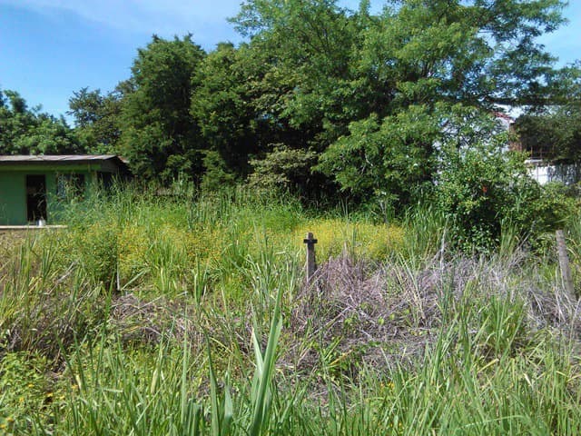 Discovery Park. Property with excellent location - photo 4