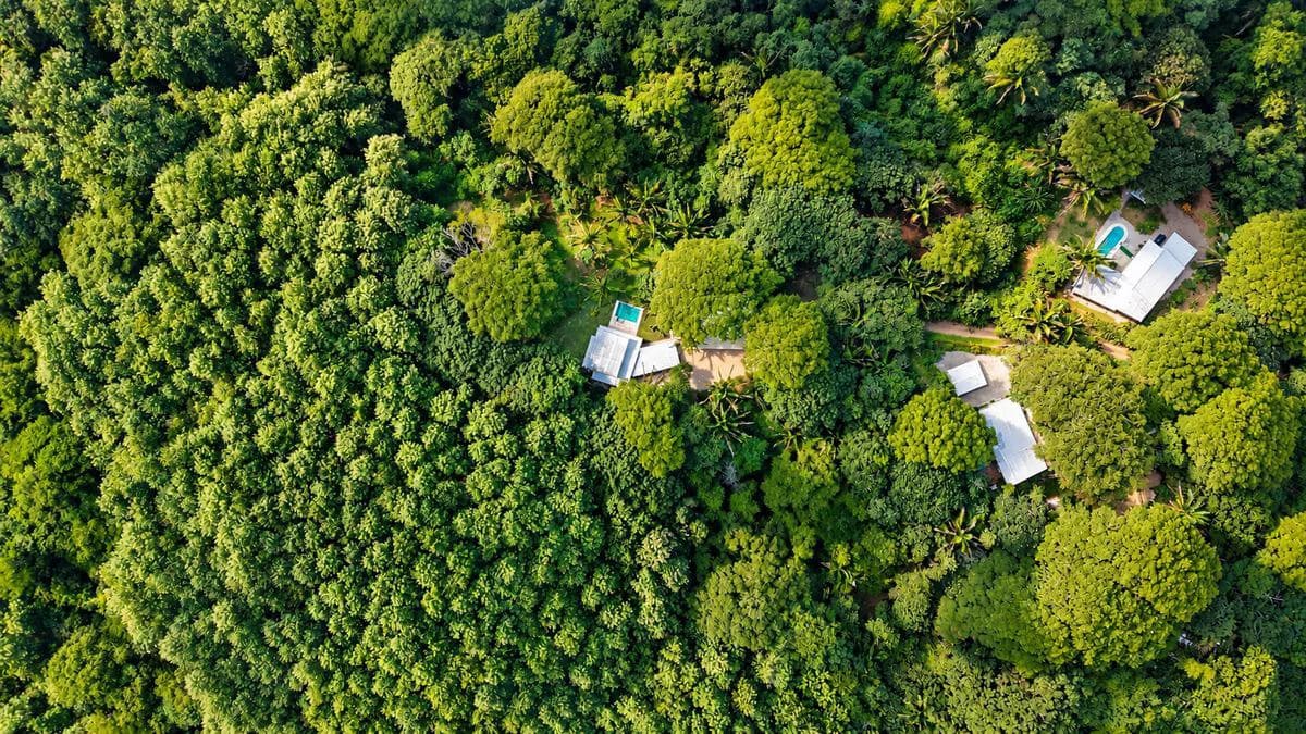 Casa Selva Serena: 3-Bedroom home & Guest Unit | A Rare Tropical Setting Just Minutes from Sámara Beach - photo 6