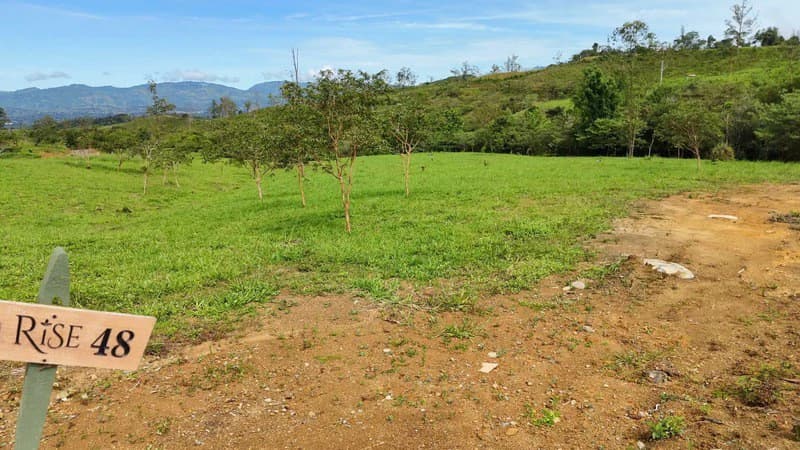 lote 48 RISE: BEAUTIFUL LOT FOR SALE IN THE HEART OF RISE COSTA RICA WITH CREEK (63,475 SQFT) - photo 7