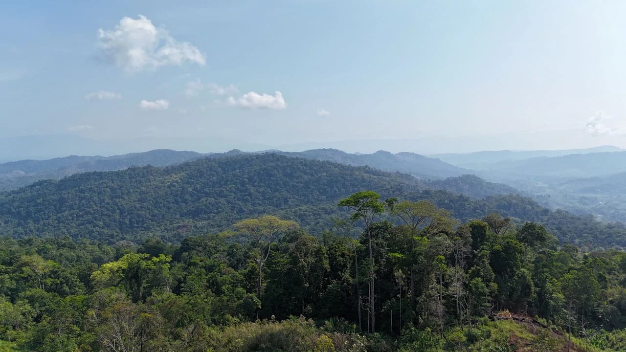 CONSERVATION AND DEVELOPMENT LAND WITH OCEAN VIEW IN SIERPE, COSTA RICA - photo 27
