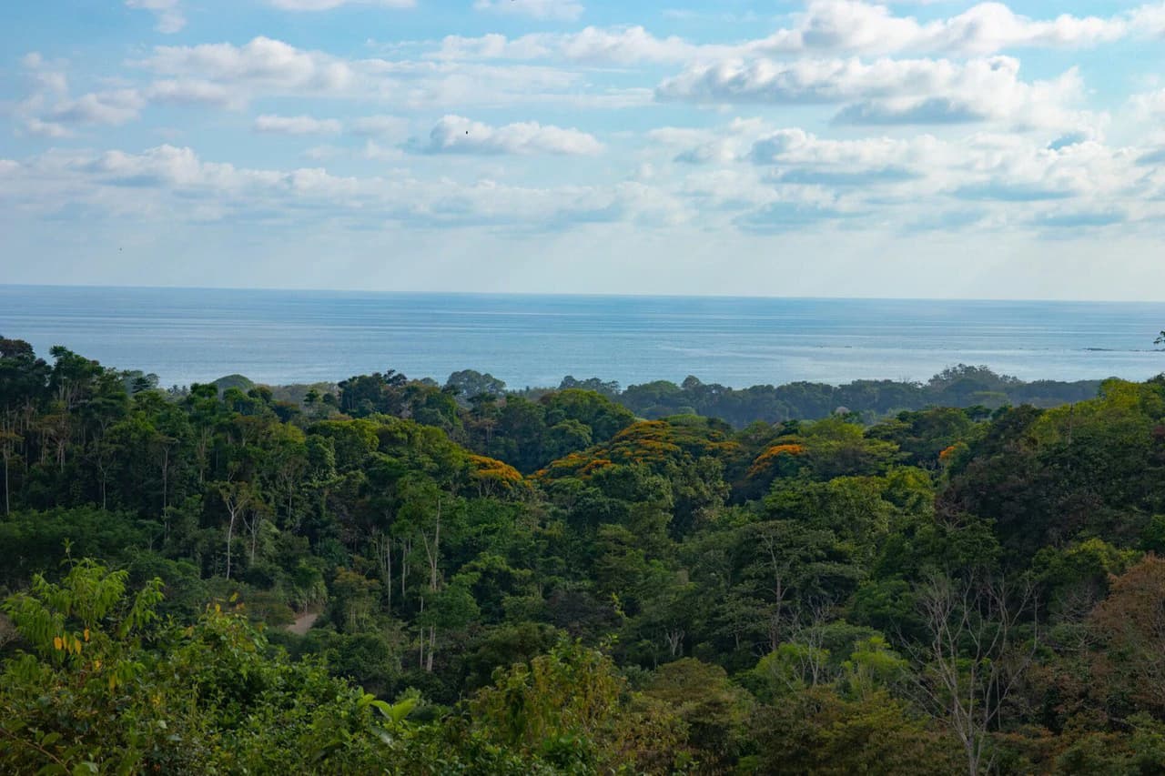 10 ACRES – Rare Ocean View Development Or Estate Property In Uvita – With Waterfall!!! - photo 9