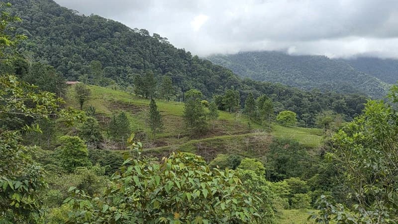 116-Hectare Finca for Sale Near Uvita with Whales Tail Views and 10 Waterfalls | La Faralla, Bahia Ballena, Uvita, Puntarenas, Costa Rica - photo 51
