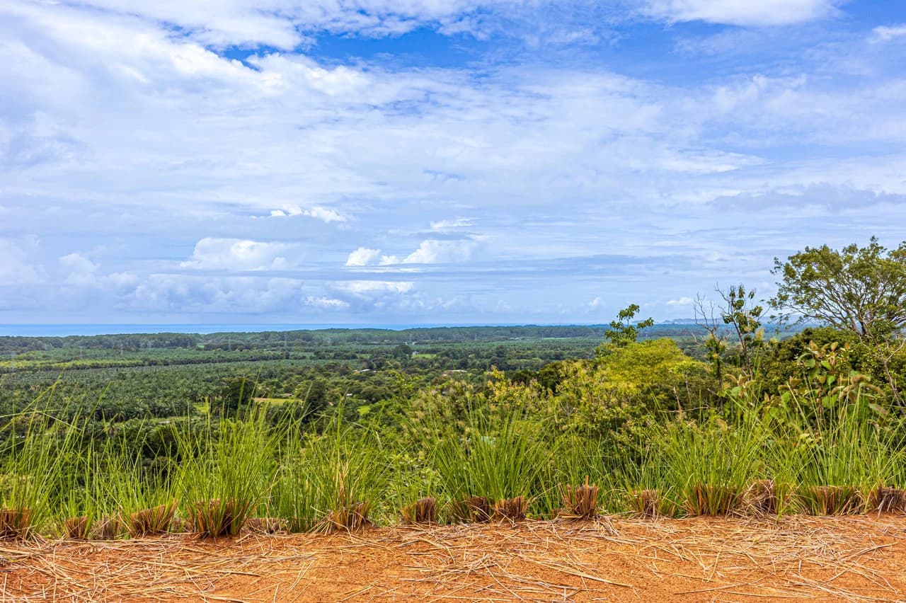 New Gated Development in Matapalo - Ocean View and Flat Land, ready to build! - photo 22