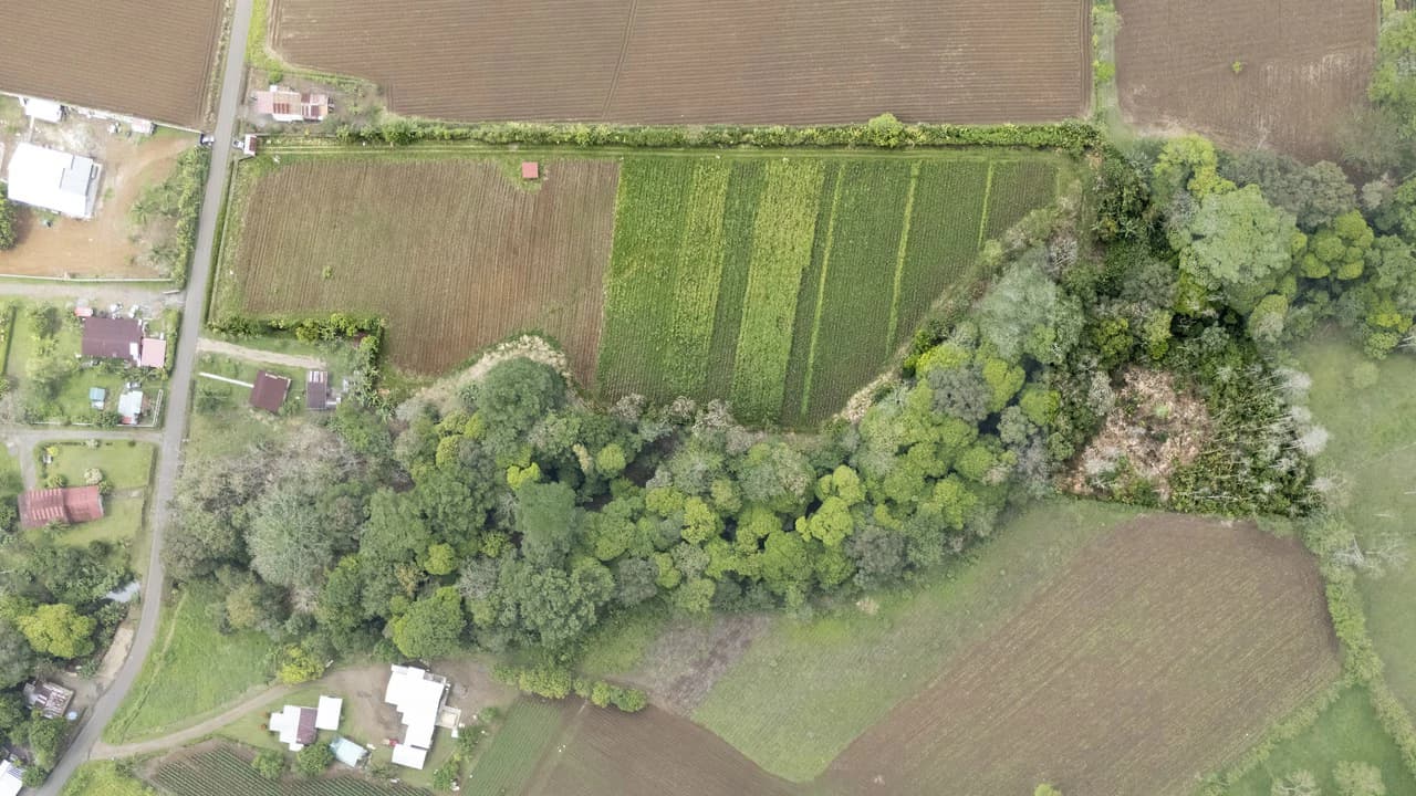$8 Dollars per meter: Countryside Development Parcel For Sale in Los Angeles - photo 6