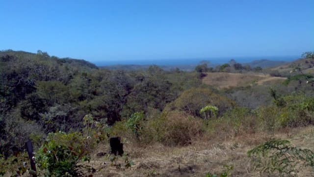 Los Nubes - Clouds: Near the Coast Development Parcel For Sale in Matapalo - photo 7