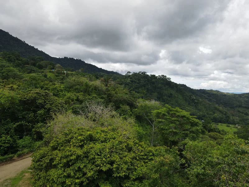 Panoramic 180 Degree Ocean View Lot Ready To Build Close To Ojochal - photo 29