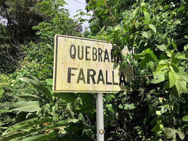 6.5 ACRES – Space To Grow, Build & Thrive, Close To The Beach & Commercial Potential Road Frontage!!!!!: Mountain and Countryside Development Parcel For Sale in Platanillo de Dominical - photo 10