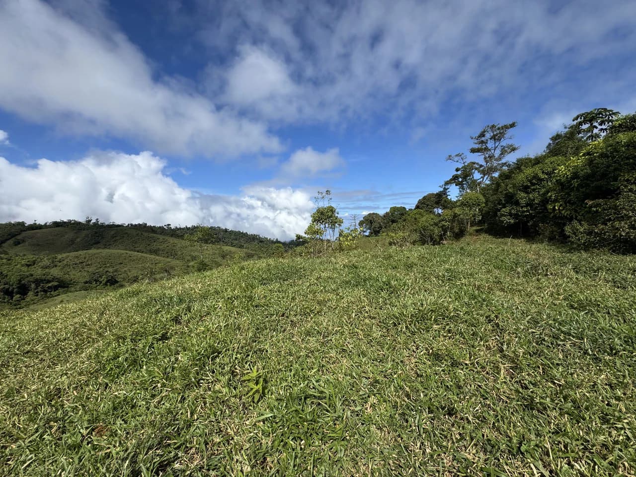 47 Acre Off Grid Ranch with Ocean & Mountain Views San Lorenzo Perez Zeledón - photo 28
