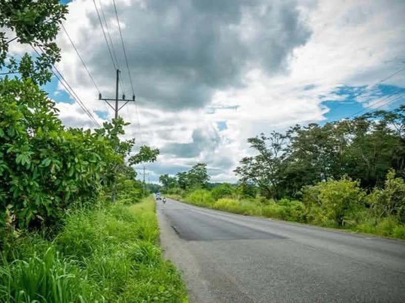 0.25 Acres Lots For Sale in La Amapola, Puerto Jimenez on Highway-245 - photo 3