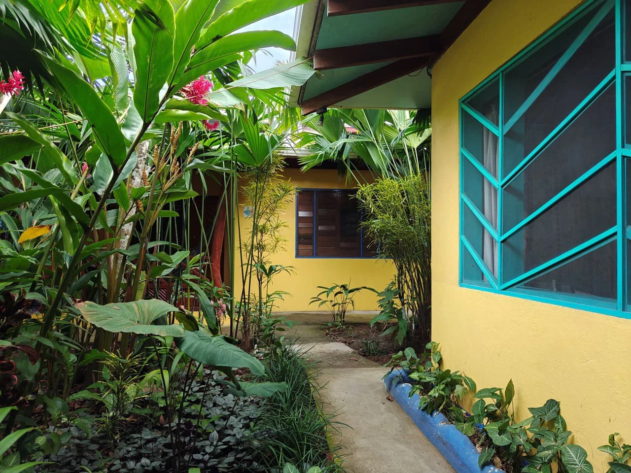 Established Caribbean Hotel: in the Heart of Puerto Viejo’s Vibrant Downtown Tourist Hub - photo 6