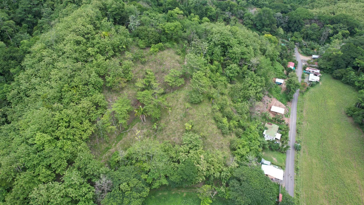 Finca Linda vista: Property for sale with flat land and small mountain with terrace to build and incredible views - photo 8