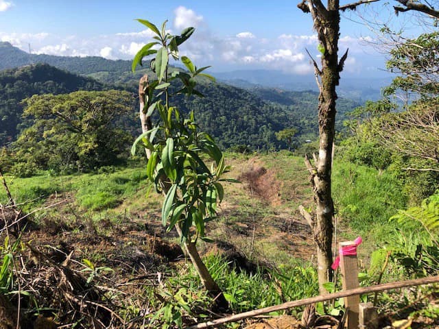 1.24 ACRES – Alto de San Juan, TOP OF THE WORLD VIEWS, Cool Breezes, Ready to Build Your Dream!!!!!: Mountain Development Parcel For Sale in Alto San Juan - photo 19