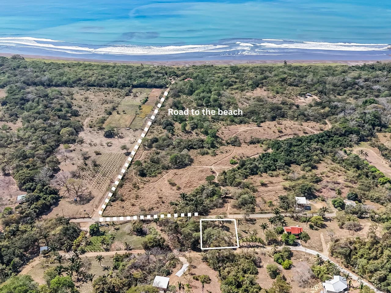 Lote Camaronal Natural: Half Acre Lot Just Mins to the Surf - photo 13