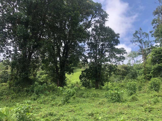 Hot and Cold Thermal Springs for Sale – Beautiful Property in Dos Ríos, Alajuela with Excellent Commercial Potential - photo 29