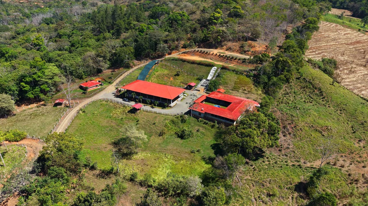Agricultural Land For Sale in Daniel Flores - photo 32