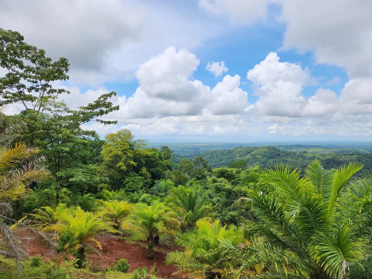 PRIME PARRITA FARM FOR SALE - photo 16
