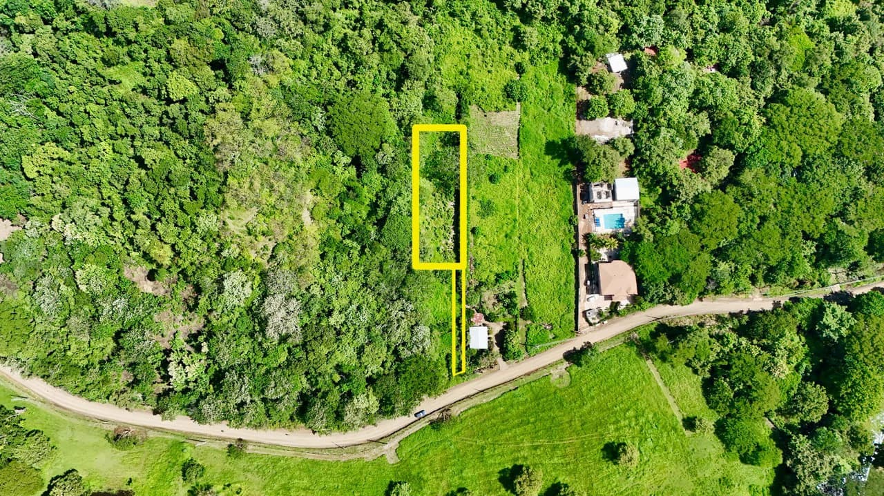 1,766 m² Lot: Between Playa Grande & Tamarindo - photo 4