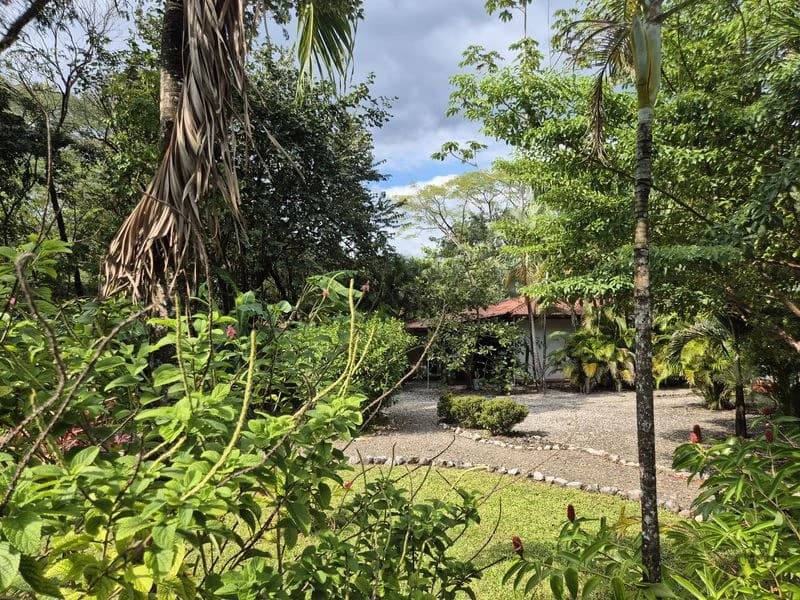 Casas Jungle: Charming Rental Compound with 5 units & pool in the heart of nature, minutes from Samara’s beaches - photo 5
