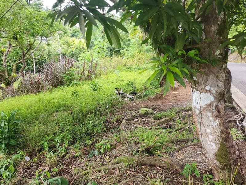 Subdividable lot in Manuel Antonio - photo 7