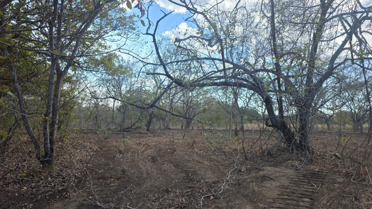 Huge Commercial Property Near Liberia Airport, Guanacaste, Costa Rica - photo 3