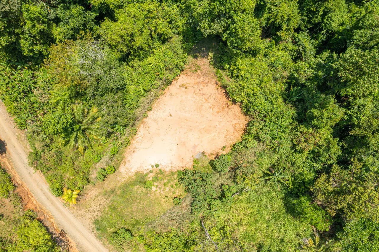 Mountain Mixed Use Building For Sale in Savegre - photo 4