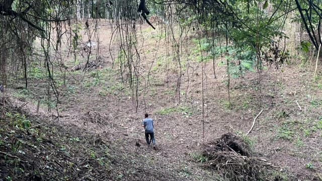 Beautiful Property for Sale in the Mountains of San Juanillo – Prime Land with Building Potential Just 10 Minutes from the Ocean - photo 8