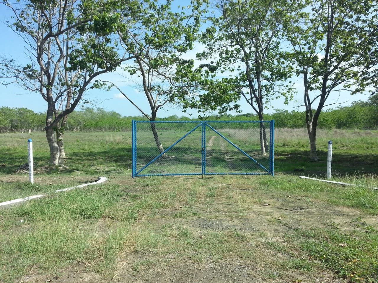 Liberia Airport Property for Quick Sale, Just 5 Minutes from Airport entrance, on the main road, Route #21 - photo 7