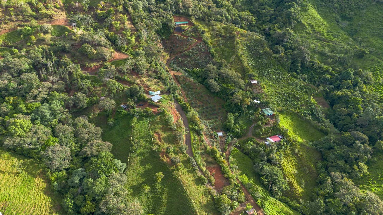 10.21 Acres with Views & Plantels – Pérez Zeledón - photo 28