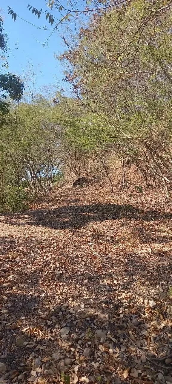 $2,200,000USD hectares: Ocean View Development Land for Sale in Tambor Costa Rica – 58 Hectares on the Nicoya Peninsula - photo 5