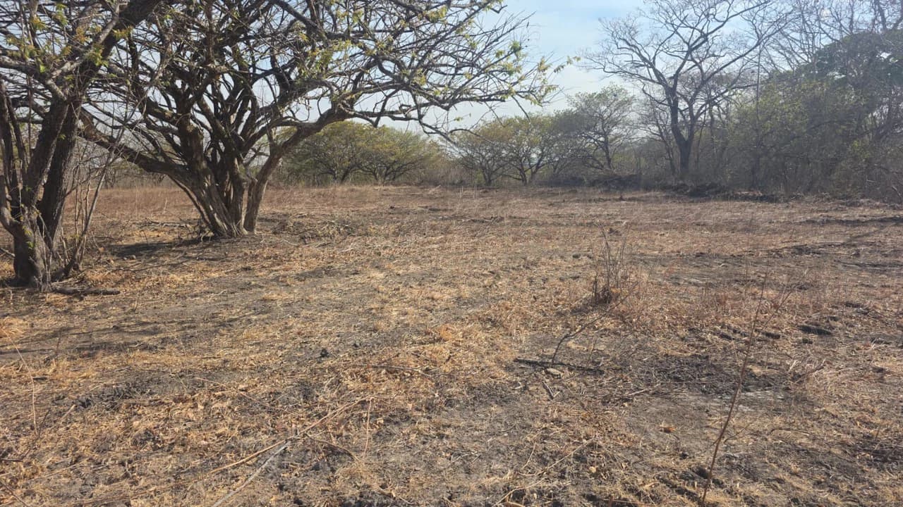 Huge Commercial Property Near Liberia Airport, Guanacaste, Costa Rica - photo 8