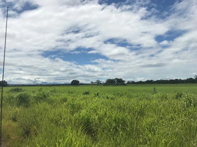 Large Development Land for Sale in Liberia, Guanacaste, Costa Rica - photo 32