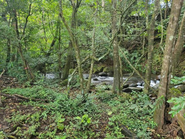 Charming property for sale in Nueva Guatemala with stunning views of the Tenorio Volcano and the beautiful green valleys - photo 3
