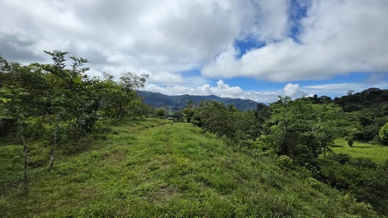 116-Hectare Finca for Sale Near Uvita with Whales Tail Views and 10 Waterfalls | La Faralla, Bahia Ballena, Uvita, Puntarenas, Costa Rica - photo 28