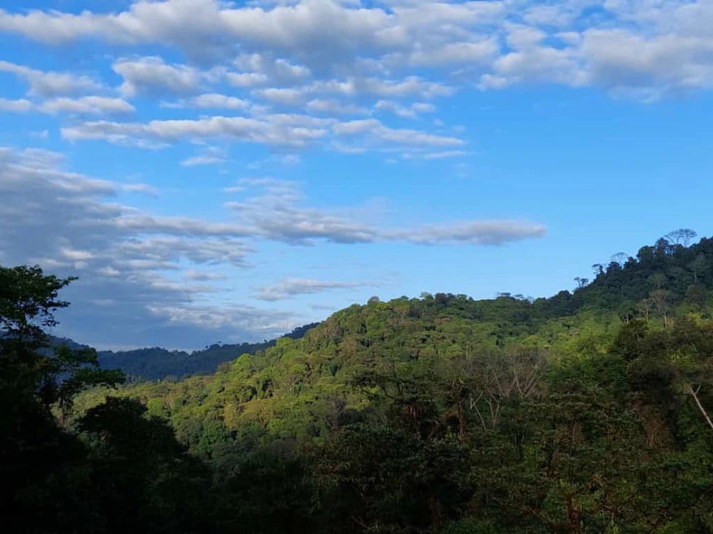 SECLUDED PARADISE WITH STUNNING VIEWS, WATERFALLS & ABUNDANT WILDLIFE - photo 16