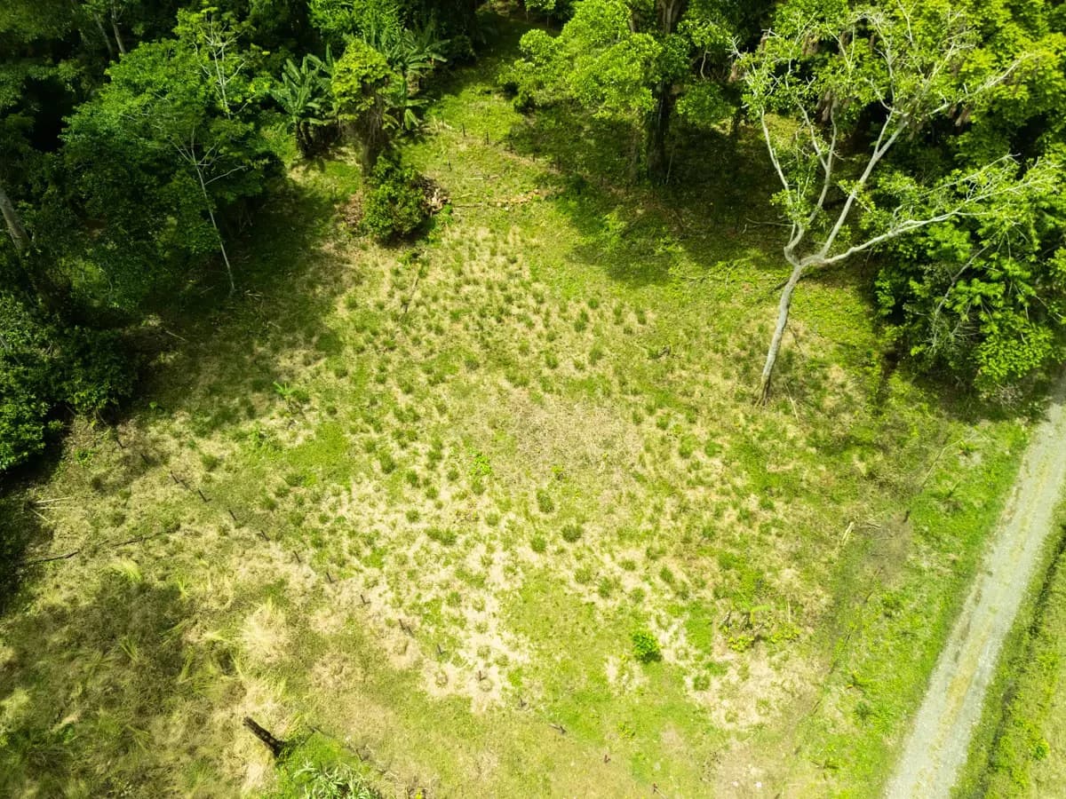 ID 1134: 3960m² Flat Development Lot Near Cahuita, Costa Rica - photo 1