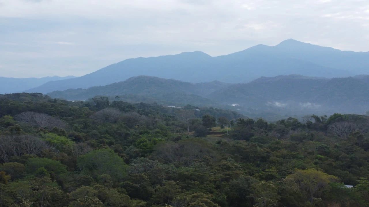 Costa Rica Ocean View 162 Acres -2 Approved Wells - 300+ Lots- 18M+ Upside - Under $5M² - photo 8