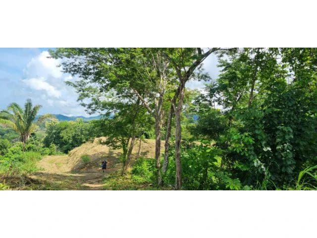 Mountain View property for sale in Samara, stunning 360 nature views land perfect for building - photo 3