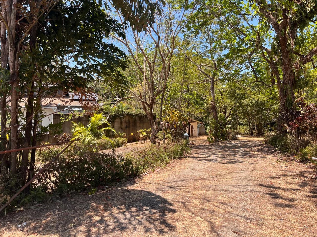 Build-Ready Flat Lot with Utilities in Carrillo, 5-min walk to Carrillo beach - photo 11