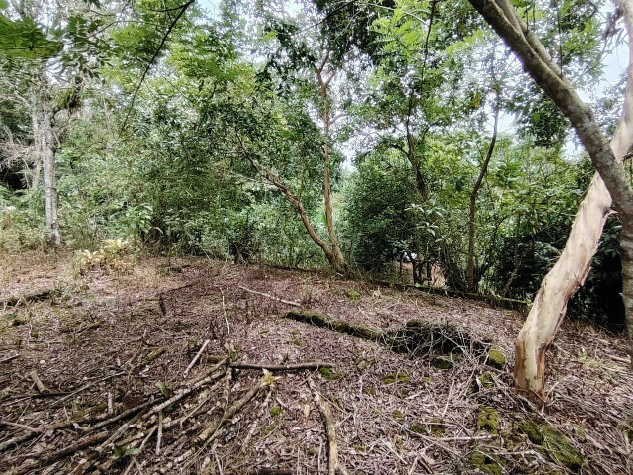 Home Construction Site For Sale in General Viejo - photo 10